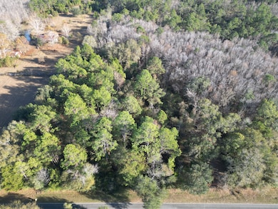 1555 Hwy 177a, Bonifay, FL 32425 - photo 2