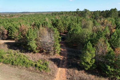 TBD Fm 1650, Gilmer, TX 75645 - photo 5