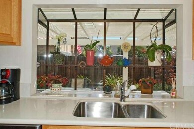 Kitchen garden window looks out to the backyard.