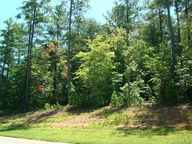 Lot 60 Butternut Ln, Denver, NC 28037 - photo 3