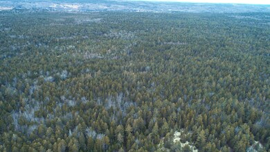 DJI_0003
