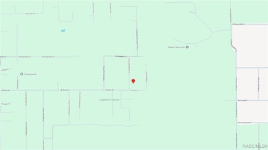 4789 N Sandpebble Point, Crystal River, FL 34428 - photo 3