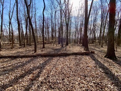 ac Goodwin Schoolhouse Point Isabel Rd, Franklin Township, OH 45106 - photo 5