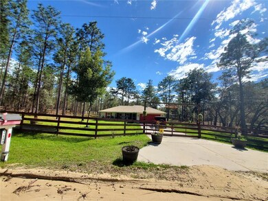 NEIGHBORING HOUSE