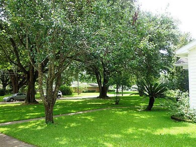 Yard/Garden. Front Yard Trees
