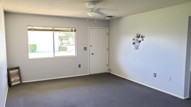 13225 N 110th Ave, Sun City, AZ 85351 - photo 2