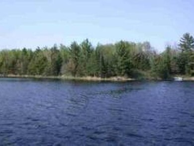 End of Sanctuary Rd, Tomahawk, WI 54487 - photo 3