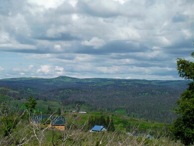 64965 Knob Hill Rd, Anchor Point, AK 99556 - photo 6