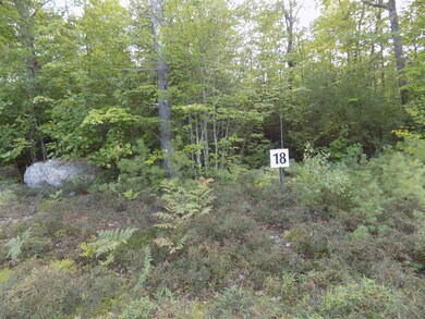 Lot 18 Pemigewasset Dr, Conway, NH 03813 - photo 2
