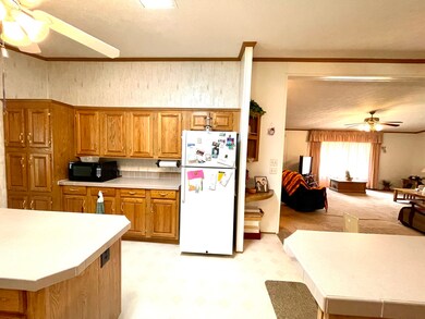 104 W Sycamore St, Malden, IL 61337 - photo 5