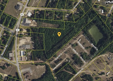 2595 Peach Orchard Rd, Dalzell, SC 29040 - photo 2