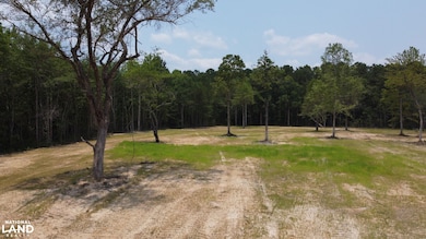 0 Steed Creek Rd unit 25684026, Huger, SC 29450 - photo 6