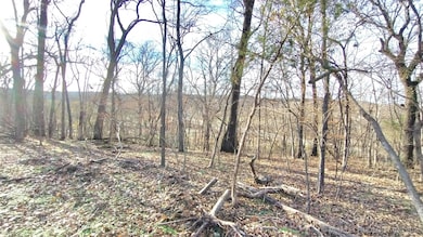 474726 E 660 Rd, Westville, OK 74965 - photo 7