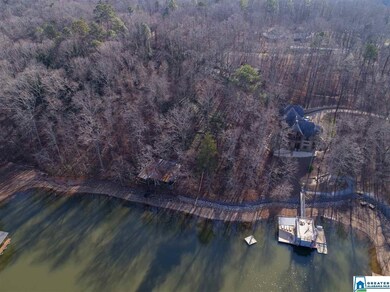 14 Waters Edge Dr unit 14, Alpine, AL 35014 - photo 4