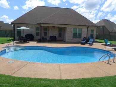 Backyard 2