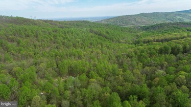 Lot 24 Mosby Springs Rd, Linden, VA 22642 - photo 5