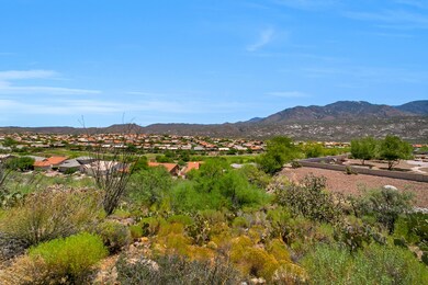 Panoramic Views