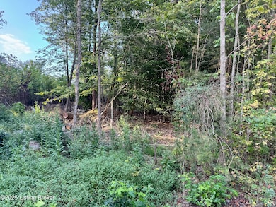 45 Clear Creek Dr, Boston, KY 40107 - photo 6