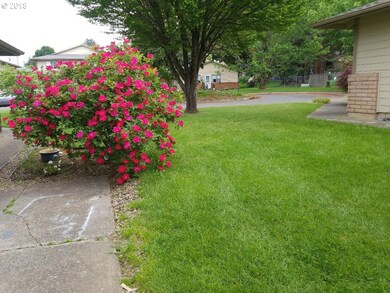 Front Yard