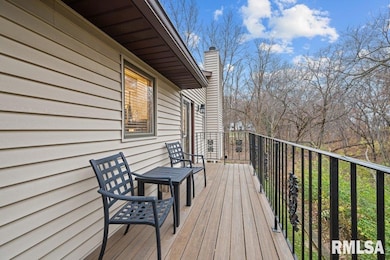 880 47th Ave unit 2, East Moline, IL 61244 - photo 3