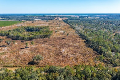 0 SW 282nd St, Newberry, FL 32669 - photo 3