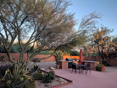 Back yard