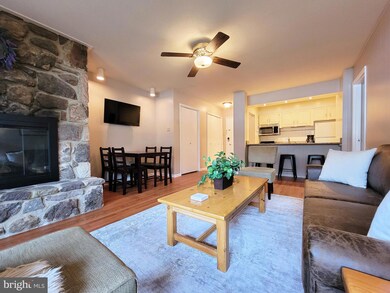 1814 Fairway Dr unit 325, Basye, VA 22810 - photo 6