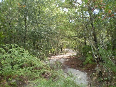 trail to the small lake