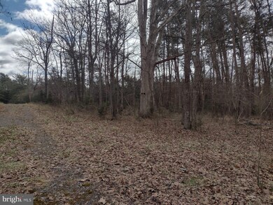 0 Queenship Lane Lot 5 unit VACL2000810, Berryville, VA 22611 - photo 4