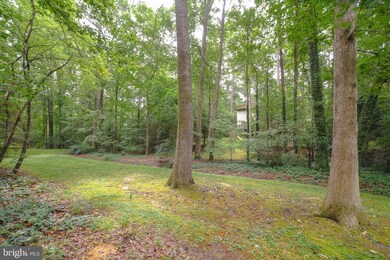 23308 Holly Hill Ln, California, MD 20619 - photo 7
