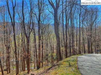 TBD Grandfather Farms Rd, Banner Elk, NC 28604 - photo 3