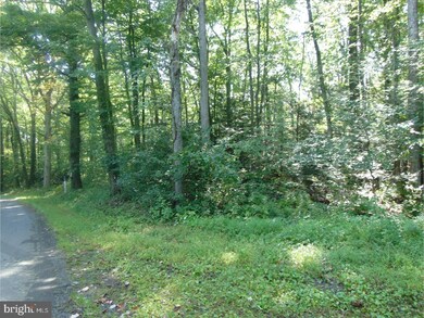 0 Indian Run Rd unit 1001243297, New Ringgold, PA 17960 - photo 4