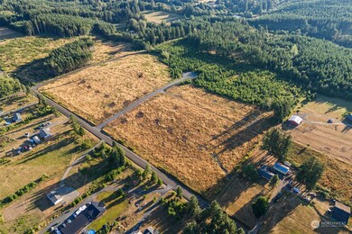 120 Brim Ridge Ln, Winlock, WA 98596 - photo 4