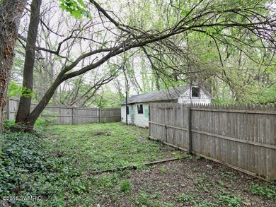 263-195156-backyard