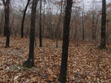 463977 Whitewater Ridge Rd, Proctor, OK 74457 - photo 2