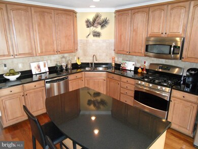 22744 Verde Gate Terrace, Ashburn, VA 20148 - photo 6