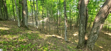 TBD Veldkamp Ln, Central Lake Township, MI 49622 - photo 3
