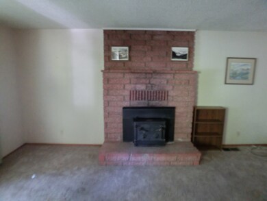 Living Room - Fireplace