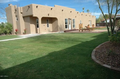 Back grass