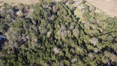 TBD Road 3813, Cleveland, TX 77328 - photo 7