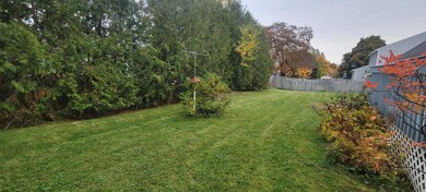 04. Backyard