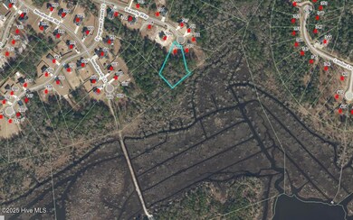 708 Serenity Way, Sneads Ferry, NC 28460 - photo 4