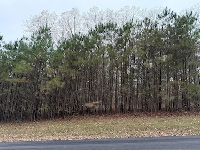 0 6th Ct NE, Vernon, AL 35592 - photo 3