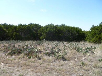 8011 Fawn Dr, Whitney, TX 76692 - photo 3