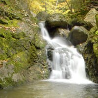 Brook_new2_email
