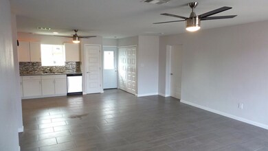 Ocotillo 5