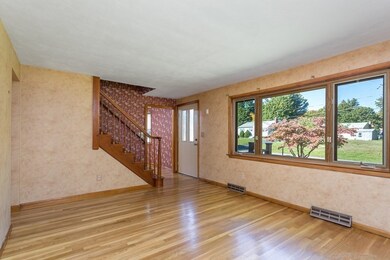 4 Fannie Way, Franklin, MA 02038 - photo 4