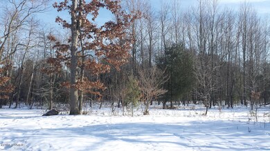 20150128_100421 (2)