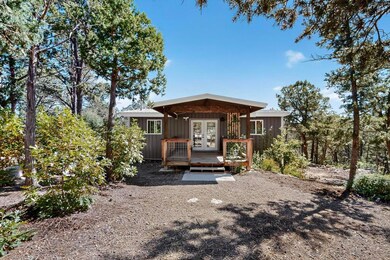 7 Chula Rd, Tijeras, NM 87059 - photo 6