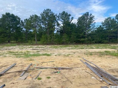 4976 Adrian Hwy unit Live Oak, Conway, SC 29526 - photo 4